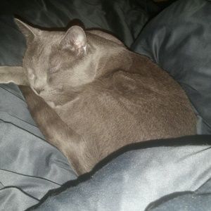 Meet your Posher, Wes